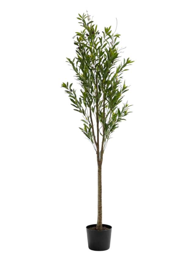 Image for Artificial Olive Tree