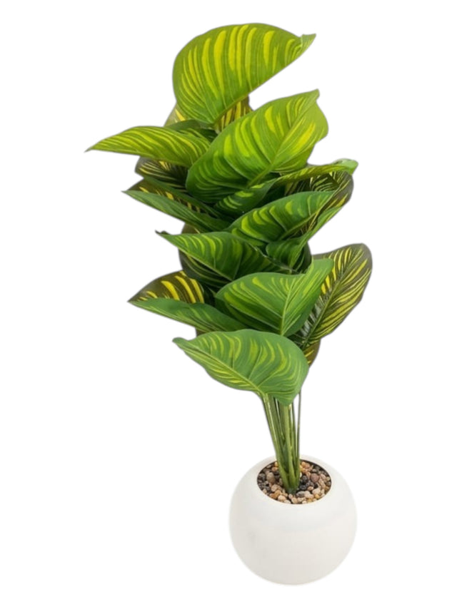 Image for Artificial Calathea Orbifolia