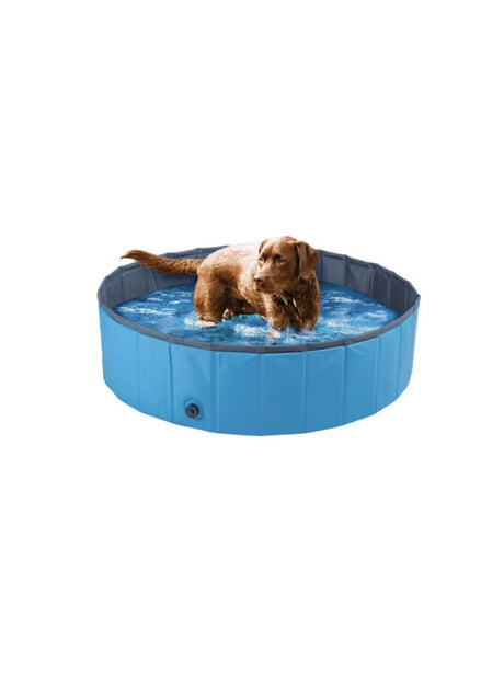 Image for Dog Pool