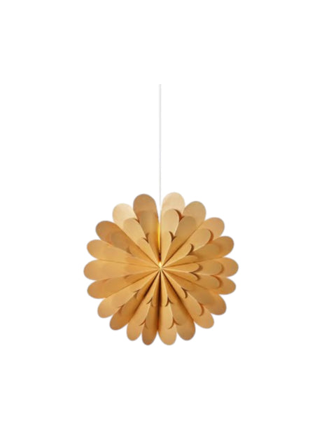 Image for Star