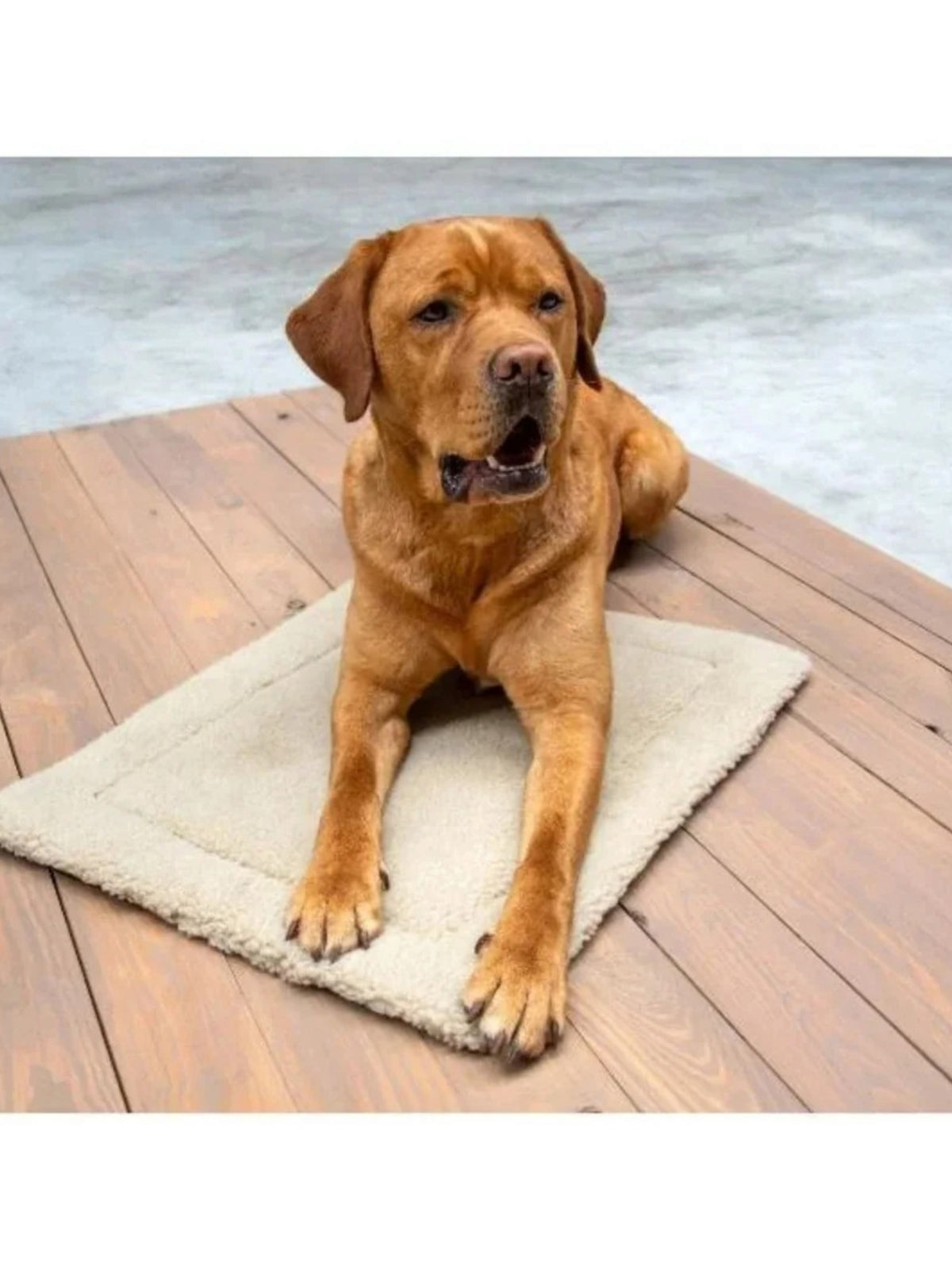 Image for Pet Mat