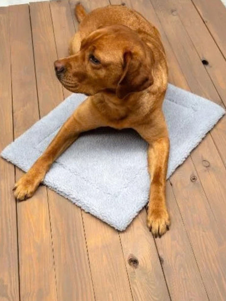 Pet Mat