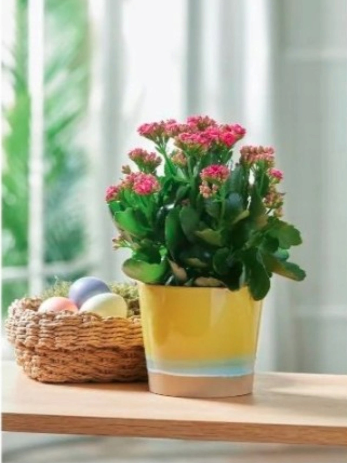 Planter