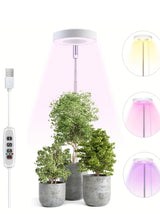 Grow Light