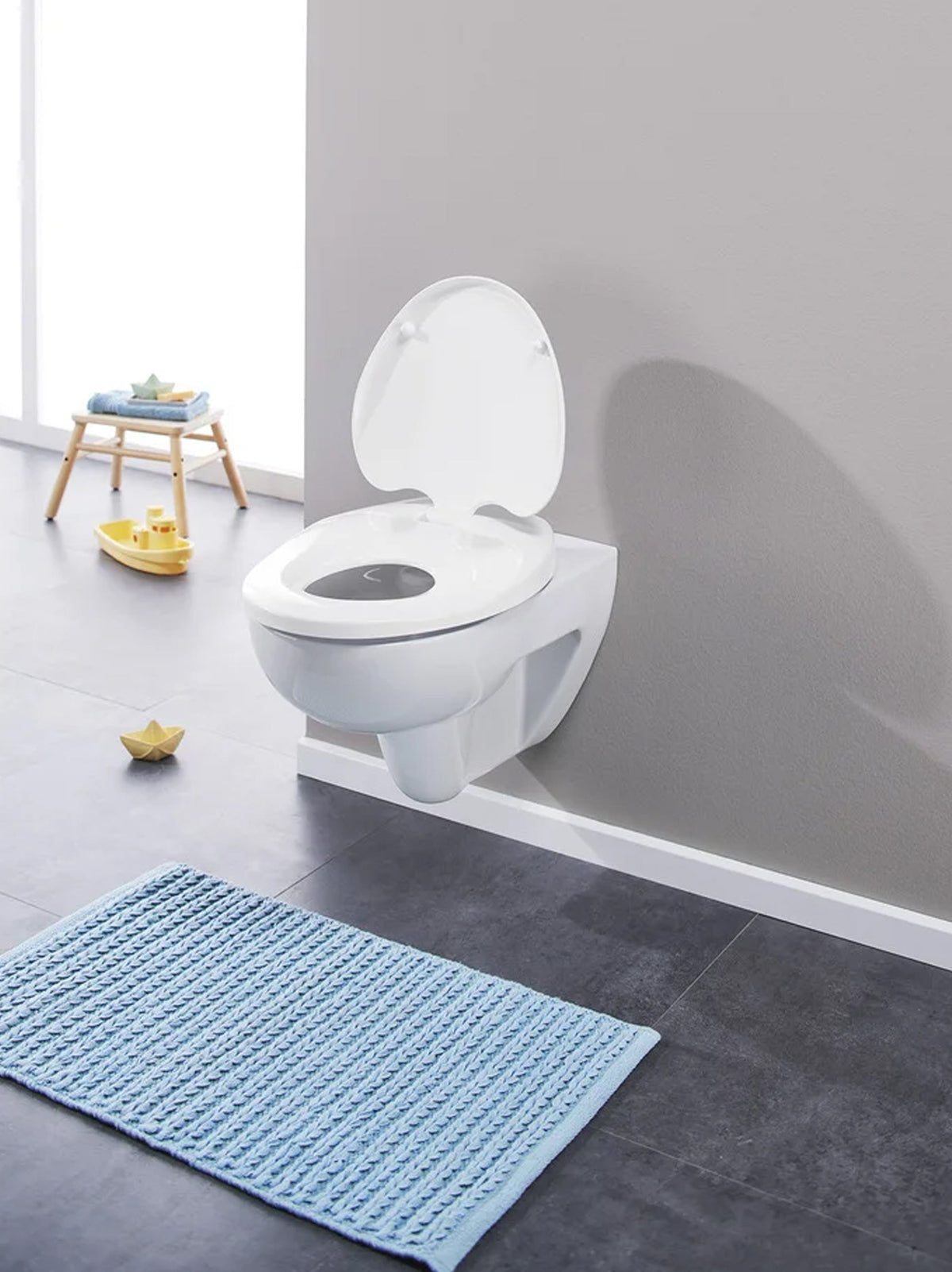 Toilet Seat