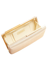 Clutch Bag