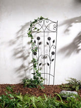 Climbing Plant Support