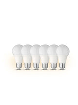 Led Bulbs