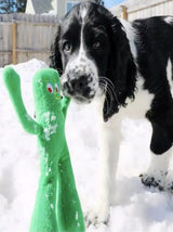 Pet Toy