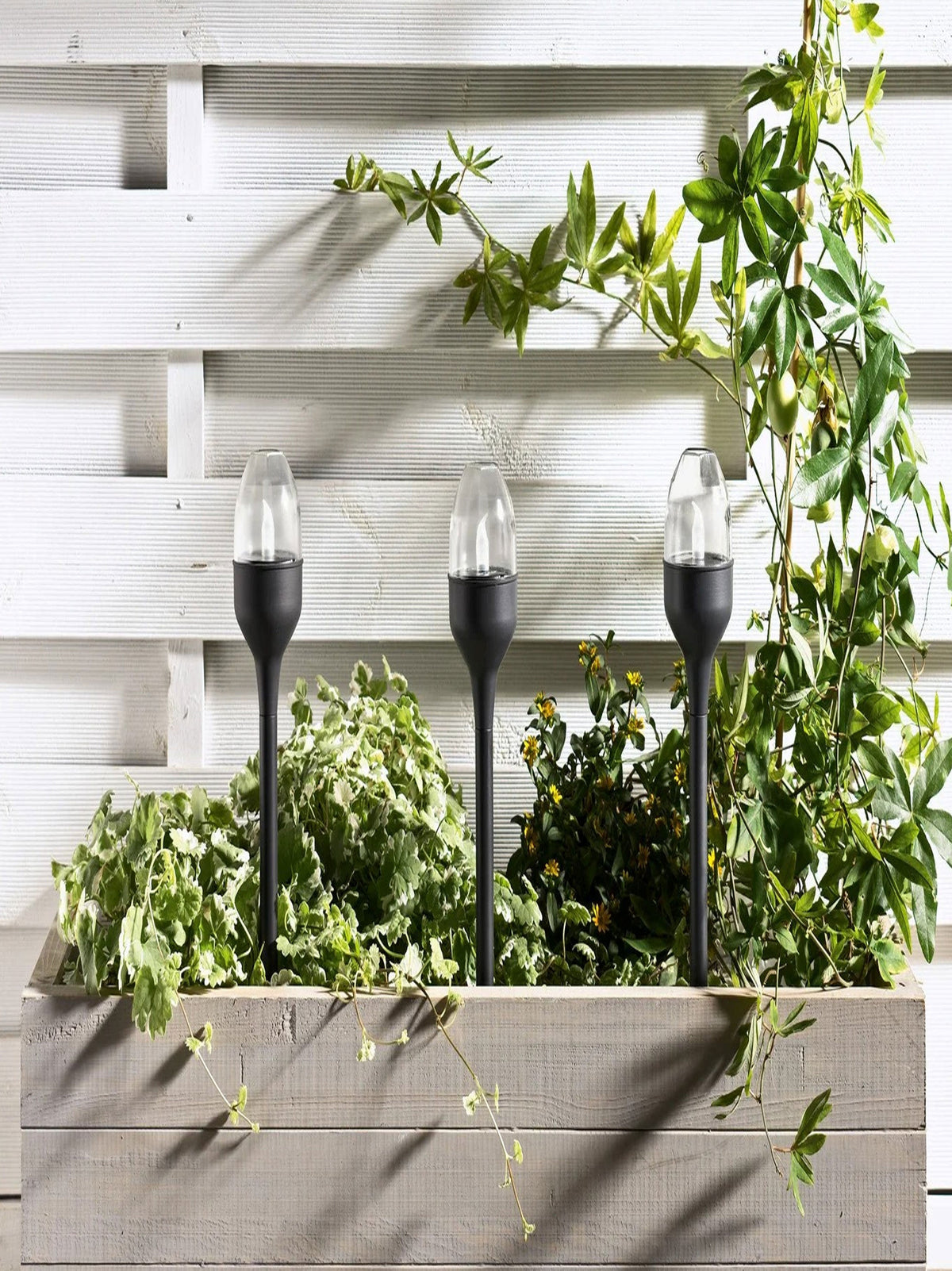 Led Solar Lights