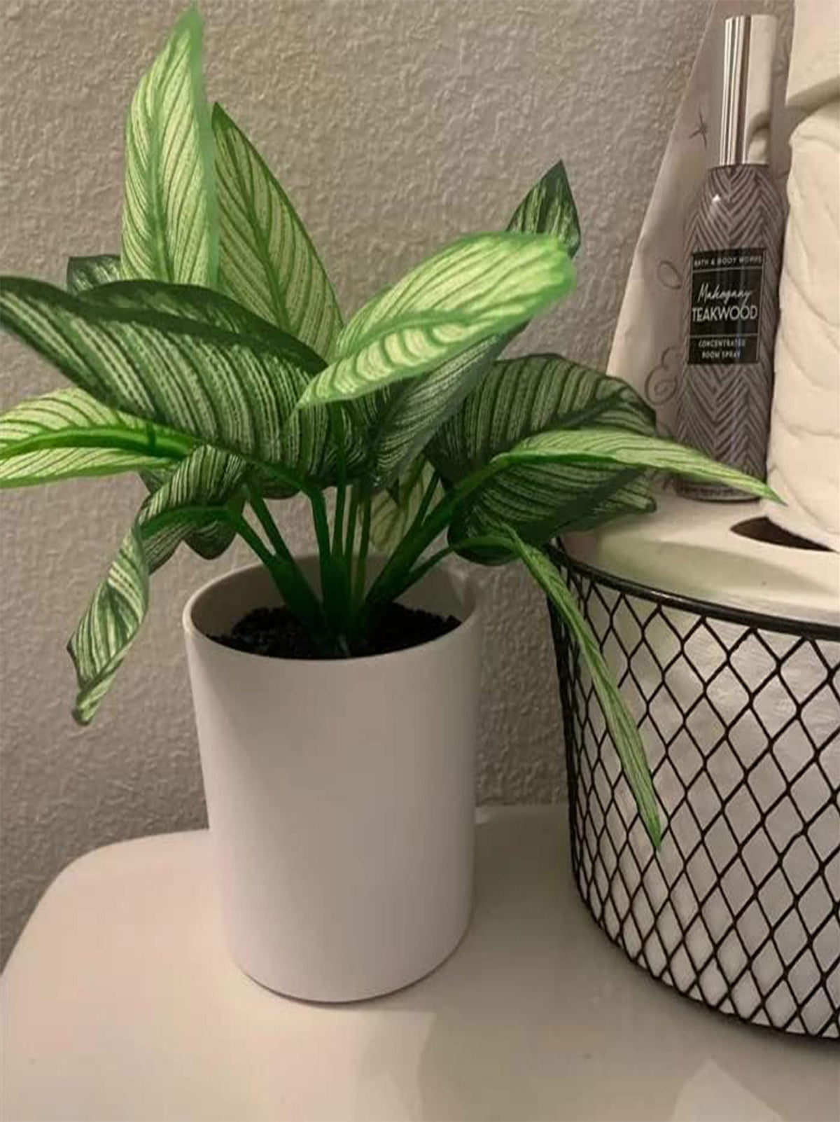 Artificial Variegated