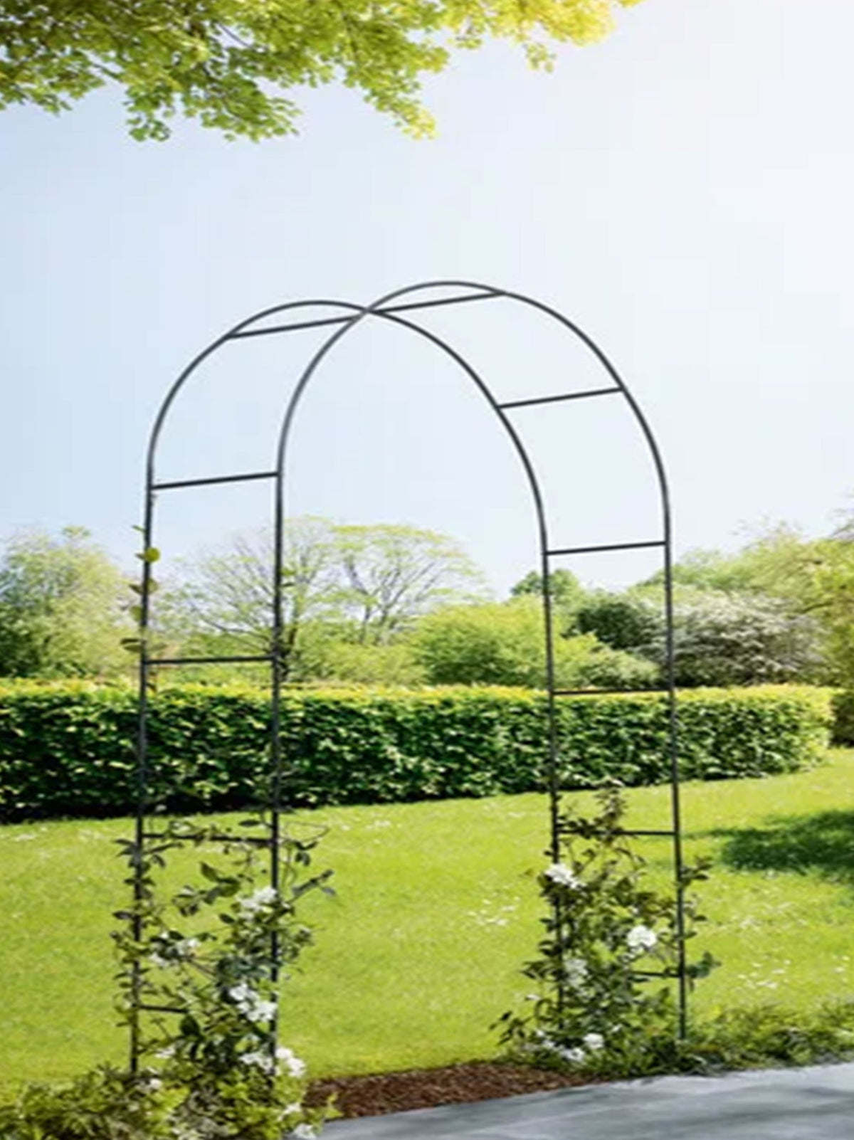 Support For Climbing Plants