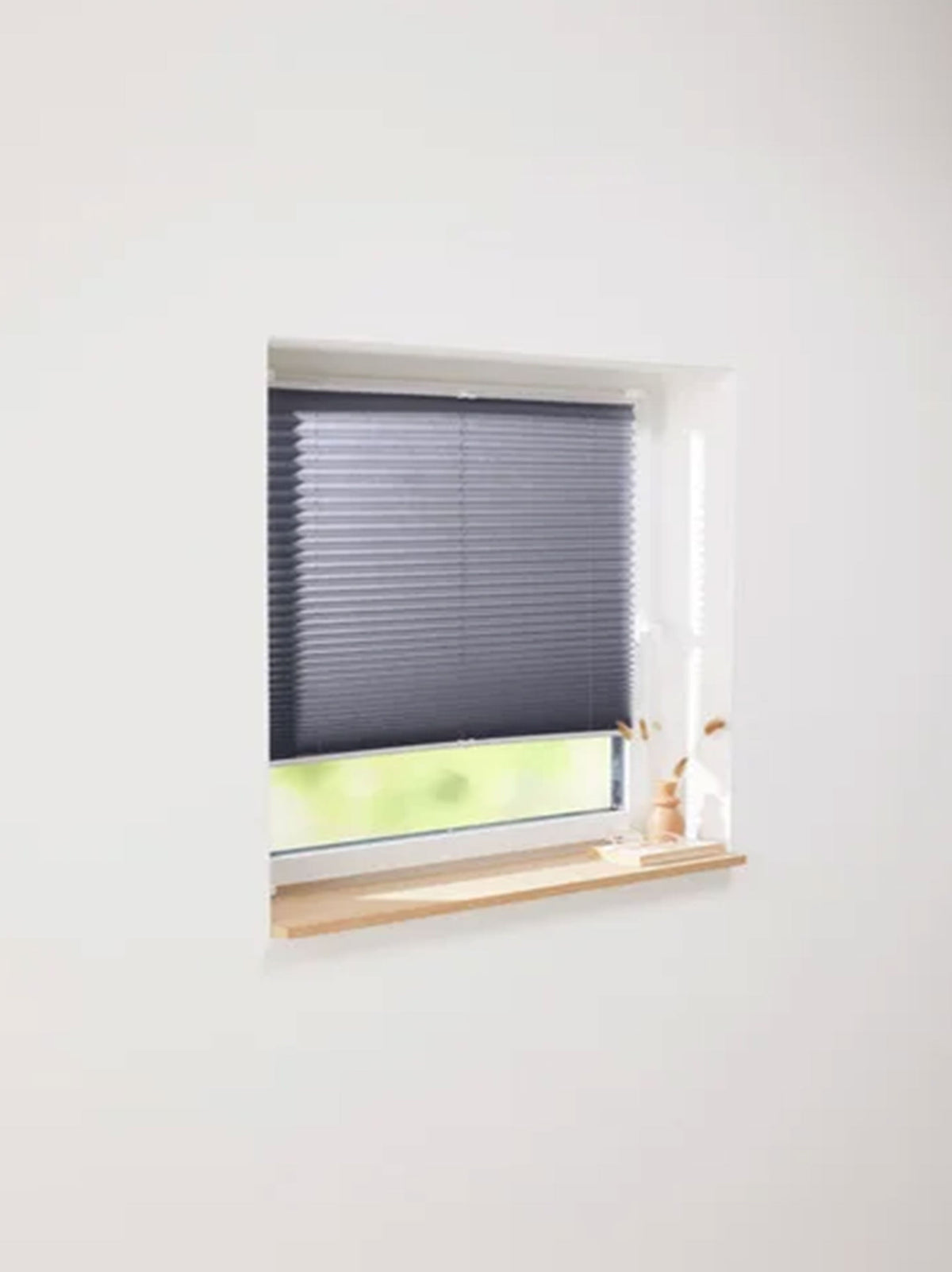 Window Blind