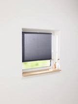 Window Blind