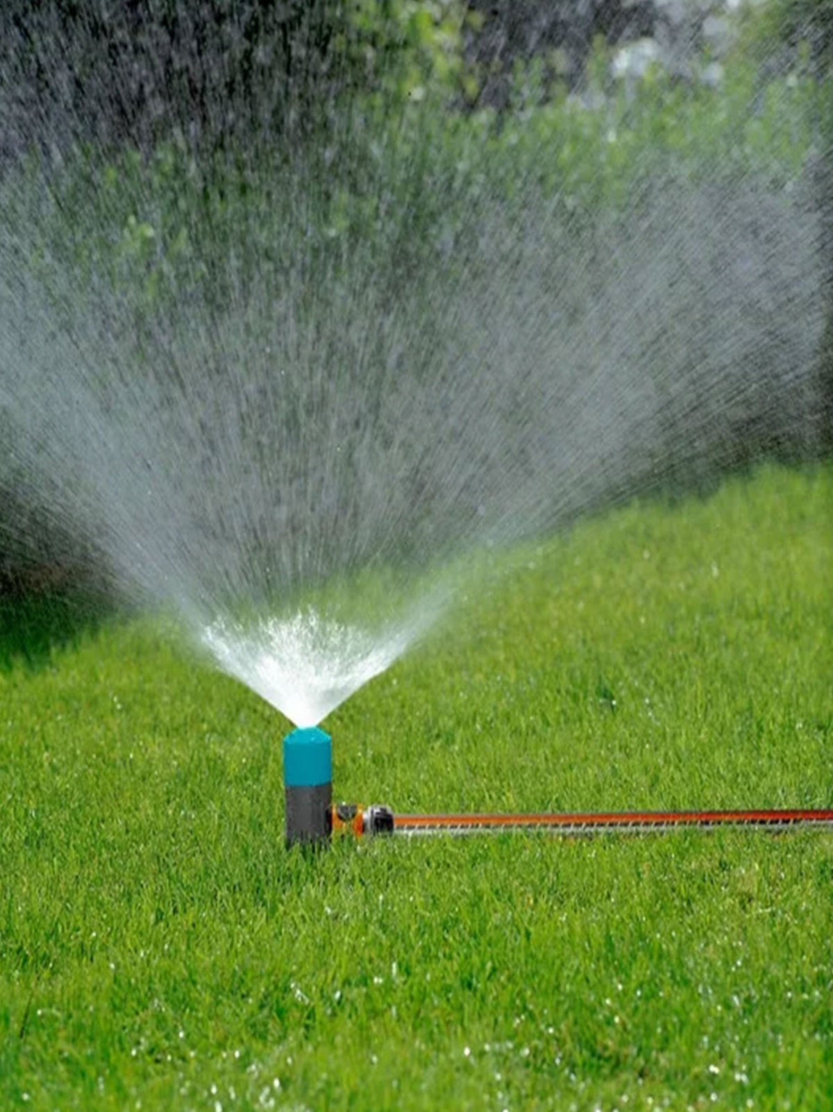 Spray Sprinkler