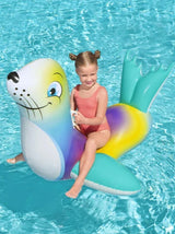 Swimming Animal Seal