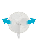 Pedestal Fan