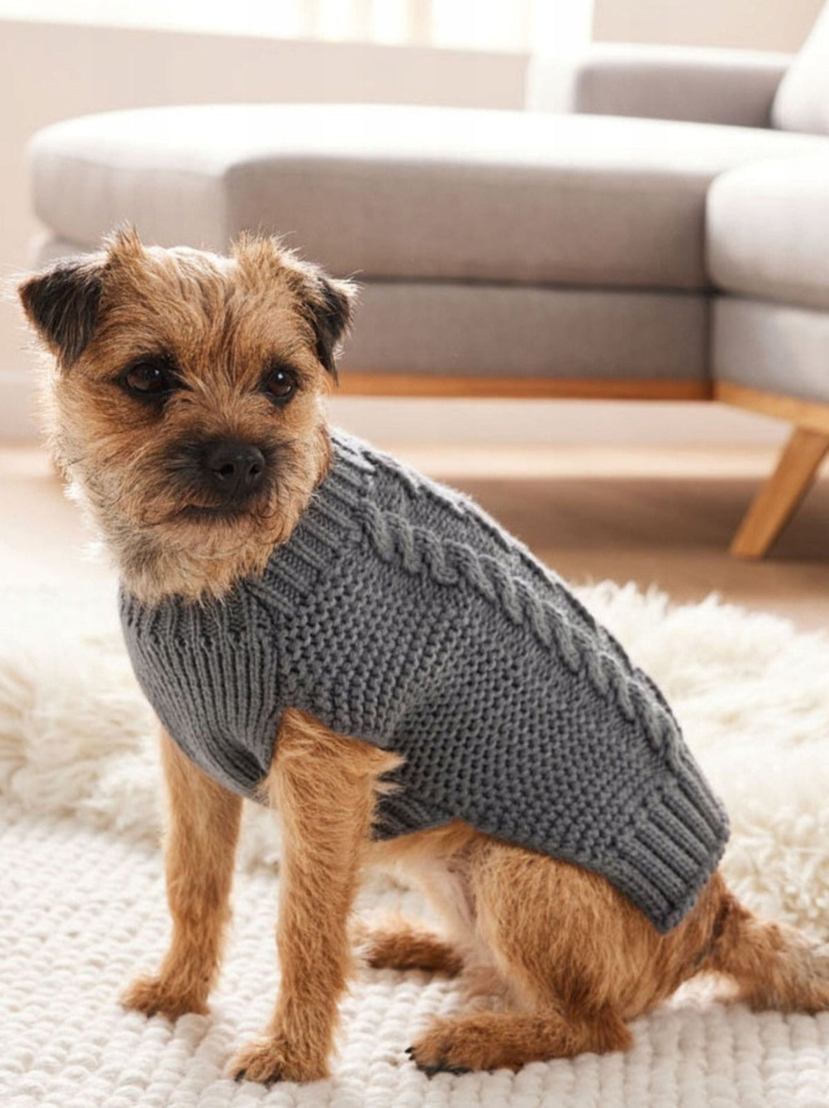 Dog Clothes Sweater