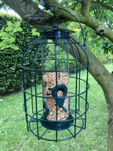 Squirrel Resistant Bird Seed Feeder