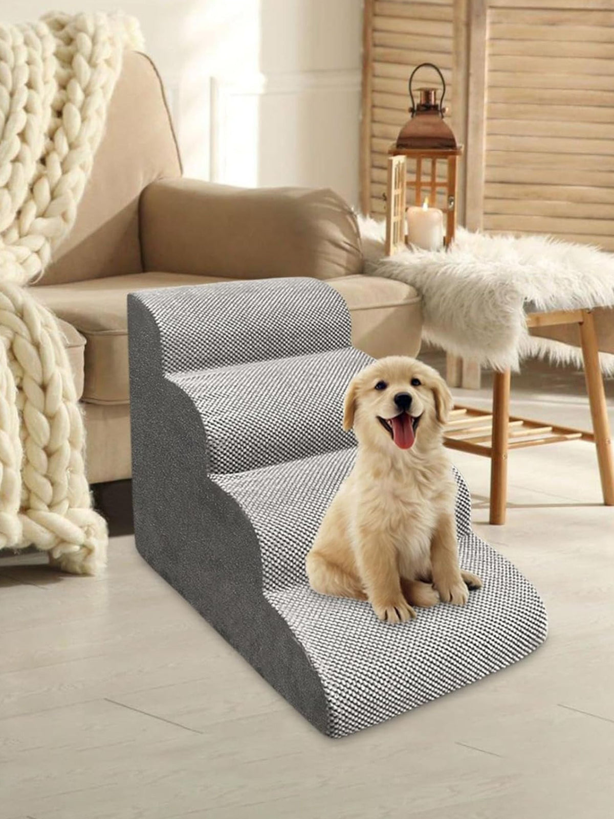 Dog Steps