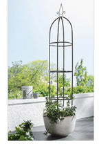 Arch, Supports for Climbing Plants