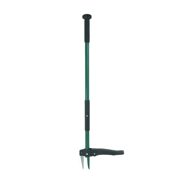 Image for Telescopic Weeder