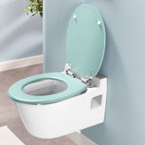 Toilet Seat