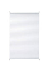 Window Blind